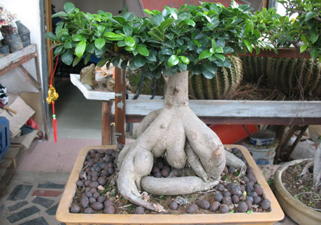 ��������