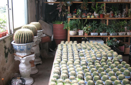 ����������