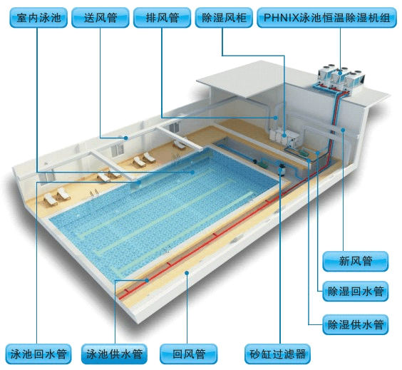 新型高效节能设备 泳池恒温除湿热泵与新型材料的完美结合